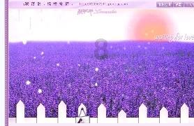 救援小孔雀